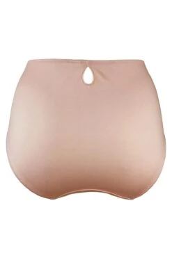 Pour Moi Imogen Rose Embroidered Brief - Latte -Cheap Clozi Vibe Store 160117 20200406101000