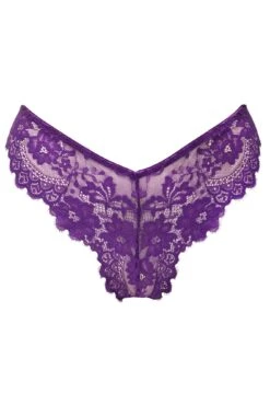 Pour Moi India Eyelash Lace V-Shape Brief - Blackberry -Cheap Clozi Vibe Store 270752 20221117162500