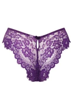 Pour Moi India Eyelash Lace V-Shape Brief - Blackberry -Cheap Clozi Vibe Store 270753 20221117162500