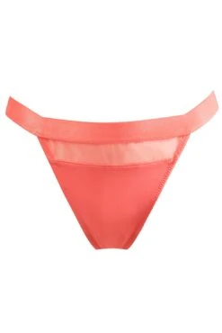 Pour Moi India High Leg Thong - Coral -Cheap Clozi Vibe Store 280919 20220330122900