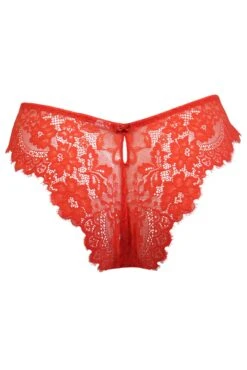Pour Moi India Eyelash Lace V-Shape Brief - Orange 13 Pour Moi India Eyelash Lace V-Shape Brief - Orange -Cheap Clozi Vibe Store 280953 20220928165000
