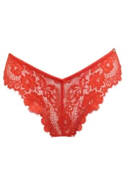 Pour Moi India Eyelash Lace V-Shape Brief - Orange 12 Pour Moi India Eyelash Lace V-Shape Brief - Orange -Cheap Clozi Vibe Store 280954 20220928165000