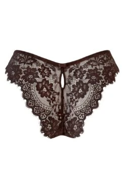 Pour Moi India Eyelash Lace V-Shape Brief - Chocolate 7 Pour Moi India Eyelash Lace V-Shape Brief - Chocolate -Cheap Clozi Vibe Store 291630 20220928134700