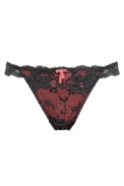 Pour Moi Amour Brazilian Brief - Slate/Coral -Cheap Clozi Vibe Store 307842 20230119160800