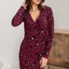 Pour Moi Bryony Slinky Stretch Jersey Wrap Mini Dress - Berry Leopard