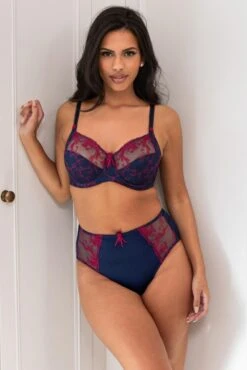Pour Moi Imogen Rose Embroidered Brief - Navy/Raspberry