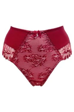 Pour Moi Sofia Lace Embroidered Deep Brief - Red -Cheap Clozi Vibe Store 320681 20230822145400