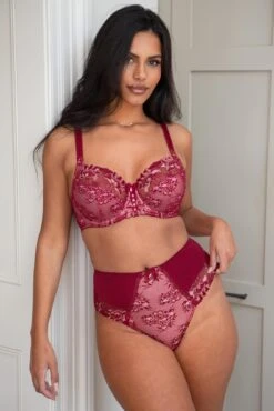 Pour Moi Sofia Lace Embroidered Deep Brief - Red