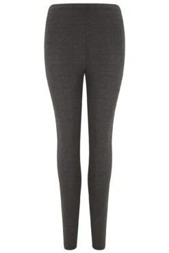 Pour Moi Second Skin Thermal Legging - Charcoal -Cheap Clozi Vibe Store 322495 20230906162200